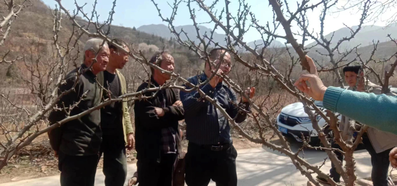 微信圖片_20231229100247.jpg 微信圖片_20231229100247.jpg