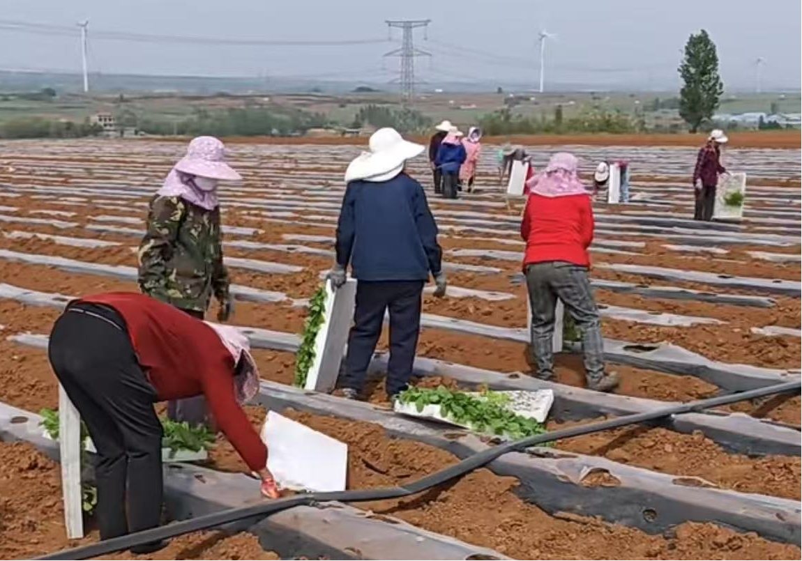 圖片1.png 圖片1.png